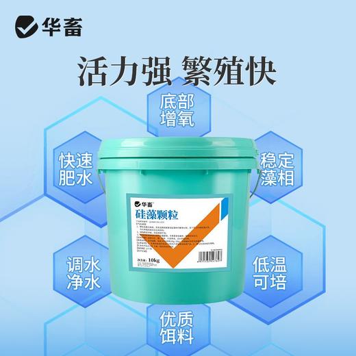 华畜硅藻颗粒水产养殖增氧培藻鱼塘虾蟹池塘用低温肥水藻种稳定剂 商品图2