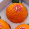 【顺丰快递】半坡阳光·春见耙耙柑🍊 只做真正春天到来的自然成熟耙耙柑 - ABPYG 商品缩略图2
