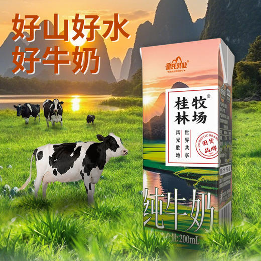皇氏乳业桂林牧场纯牛奶200ml*10盒 商品图1