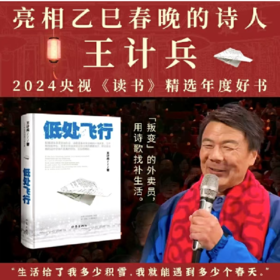 《低处飞行》春晚外卖诗人王计兵著