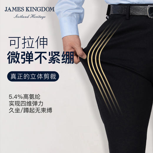 【限时特惠   直降100】占姆士男士直筒商务大版西裤微弹春秋长裤中老年爸爸免烫抗皱防皱 商品图2