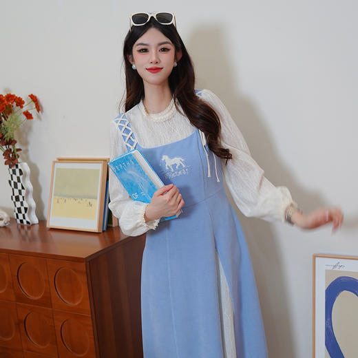 两三事梵高文艺 2025春季新款动物刺绣拼布假两件连衣裙天空之镜 商品图2