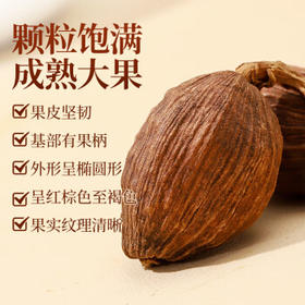 川珍草果115g罐装 无硫熏染 火锅配料香辛料烧炖卤肉料大料佐料调味品 /粮油调味 /调味品 /基础香辛料