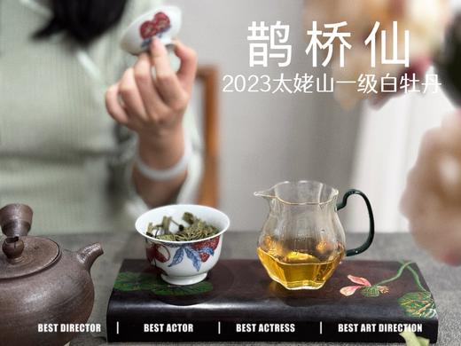 【春茶品鉴会】2023一级白牡丹《鹊桥仙》，馨香盈杯，清润润的汤感素雅洁净，仿若天山冰泉 商品图8