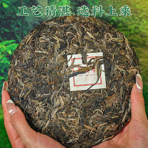 【2025年春茶】买7送1！吉顺号茶叶古300曼松普洱生茶饼357克 商品图5