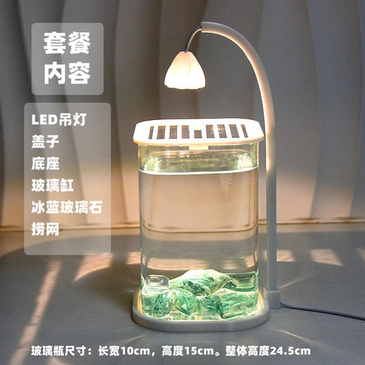 【新款斗鱼专用缸，高透玻璃桌面鱼缸】斗鱼专用缸 高透小型 懒人造景玻璃 桌面专用鱼缸 宿舍小夜灯 网红礼物-QQ 商品图5