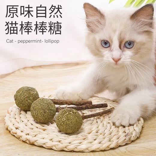 猫薄荷球棒棒糖舔舔乐猫零食自嗨猫咪玩具12cm 商品图1