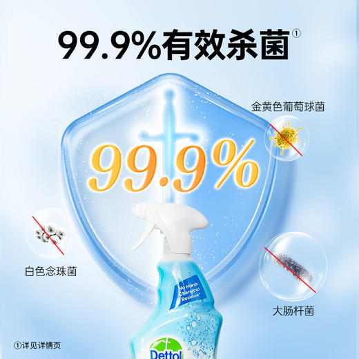 滴露浴室清洁剂泡沫清洁除菌喷雾杀真菌厕所去水垢渍750ml 商品图4
