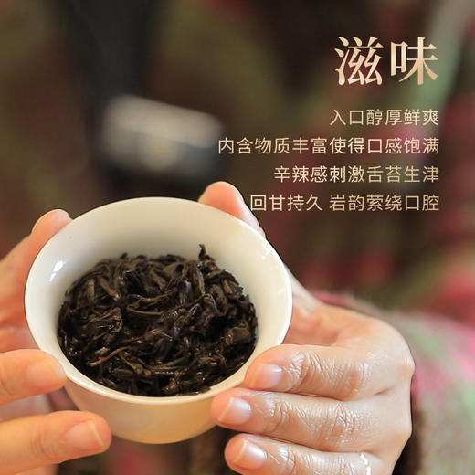 【好茶破价王】正岩肉桂 2024年武夷岩茶 8.3*12泡 100克/盒 商品图4