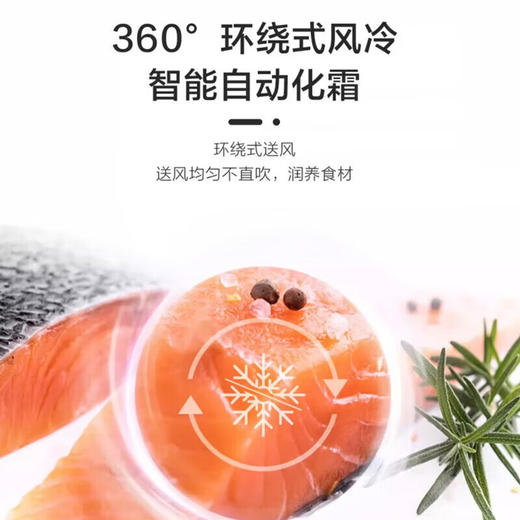 海尔（Haier）630升风冷无霜大容量双开门对开门双变频1级能效节能静音API净味干湿分储家用大冷冻电冰箱 BCD-630WGHSS95S9U1 商品图5