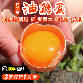 【包邮】农家五谷喂养 北京油鸡蛋  含卵磷脂  蛋黄个儿大  蛋香醇厚  绵蜜细腻   30枚