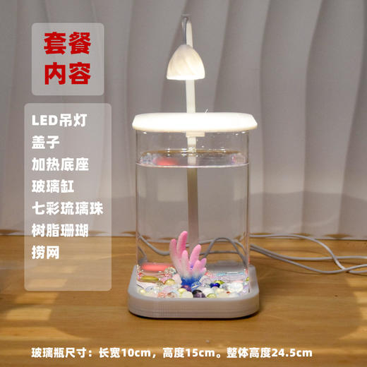 【恒温加热！高透玻璃！】鱼专用缸 高透小型 懒人造景 玻璃桌面专用鱼缸 恒温加热鱼缸 网红礼物-QQ 商品图7