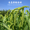 小米酥 125g 商品缩略图5