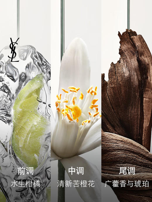 圣罗兰生而不羁男士香水 60ml 木质橙花香 商品图1