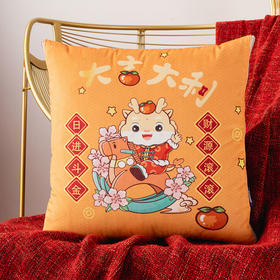 多喜爱 美眠康 吉祥抱枕被（大吉大利、平安喜乐万事如意、鱼跃龙门）