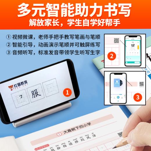 每日字课 人教版 1-6年级上下册 商品图2