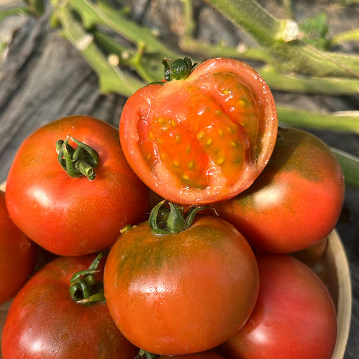 【好吃的铁皮水果番茄】密农人家 铁皮柿子自然熟绿腚西红柿 草莓番茄 新鲜水果西红柿   3斤 商品图3