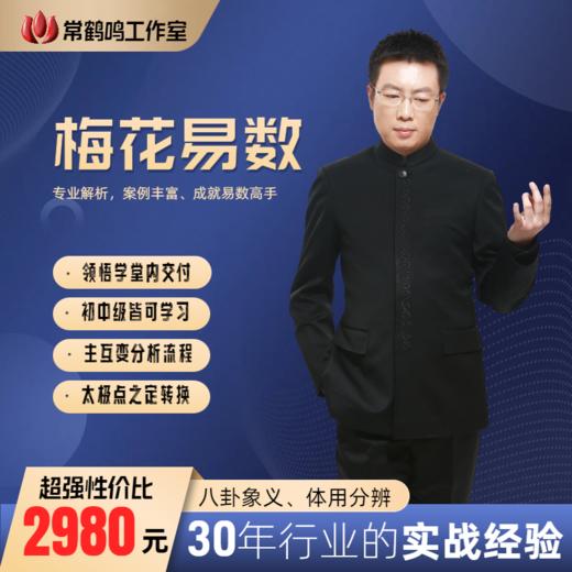 梅花易数 商品图0