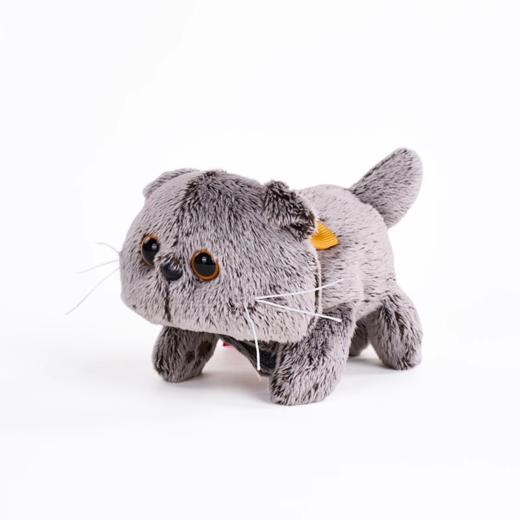 Budibasa 蝴蝶结宝喜可猫抱抱贴和啪啪圈 商品图0