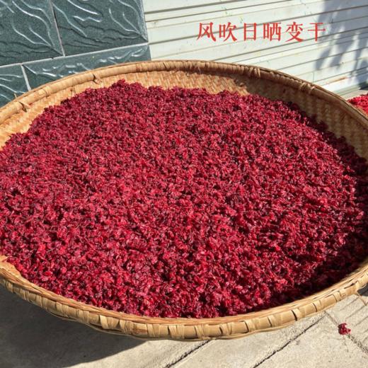 合作产品/ 2024秦岭山茱萸 商品图5