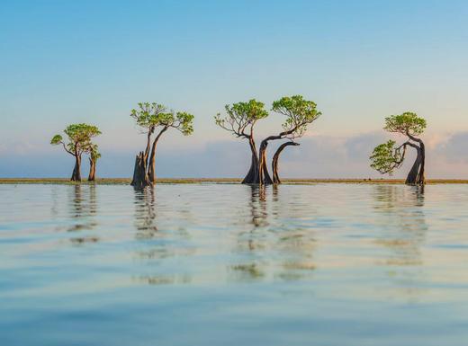 印尼·东怒沙登加拉群岛  ——松巴岛跳舞树、海蚀奇观、科莫多岛梦幻粉红沙滩8天摄影团 商品图2