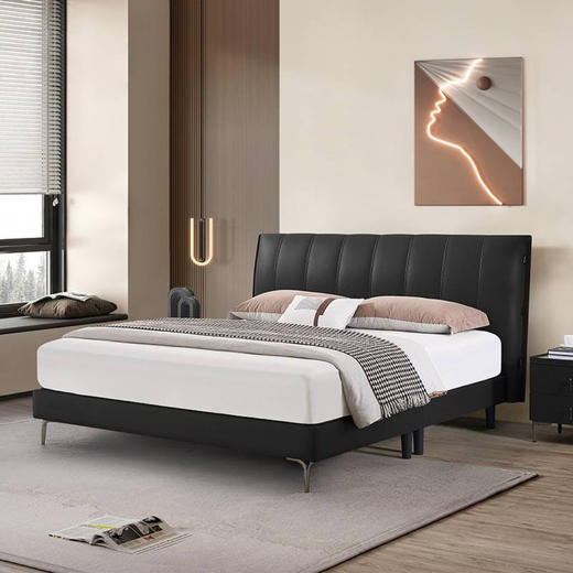 协奏曲皮床/RAA1516 商品图0