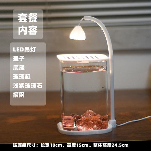 【新款斗鱼专用缸，高透玻璃桌面鱼缸】斗鱼专用缸 高透小型 懒人造景玻璃 桌面专用鱼缸 宿舍小夜灯 网红礼物-QQ 商品图10