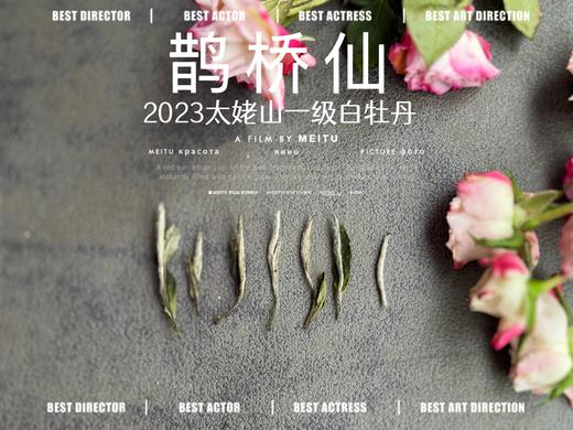 【春茶品鉴会】2023一级白牡丹《鹊桥仙》，馨香盈杯，清润润的汤感素雅洁净，仿若天山冰泉 商品图1