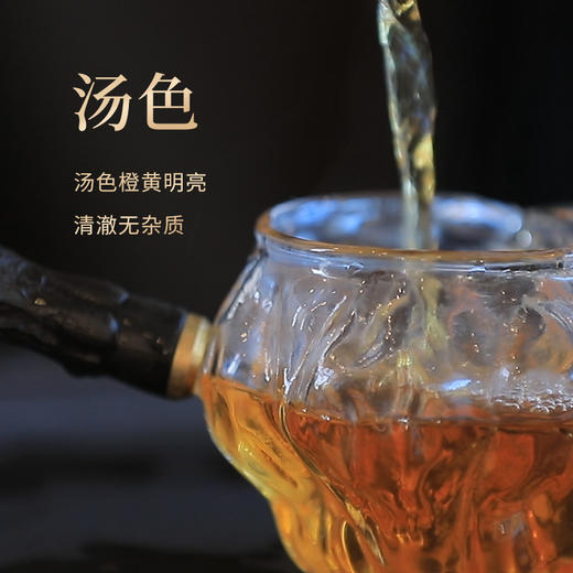 【好茶破价王】铁罗汉 武夷岩茶 9克*6泡 54克/盒 商品图2