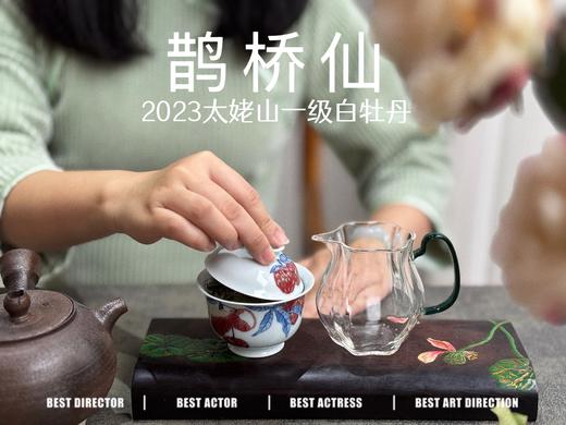 【春茶品鉴会】2023一级白牡丹《鹊桥仙》，馨香盈杯，清润润的汤感素雅洁净，仿若天山冰泉 商品图5