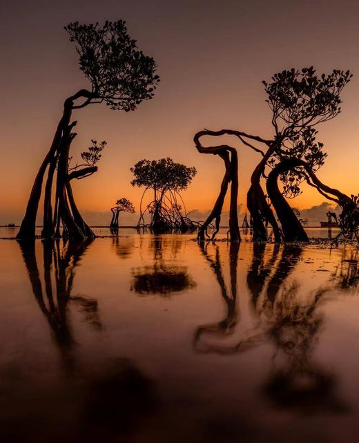 印尼·东怒沙登加拉群岛  ——松巴岛跳舞树、海蚀奇观、科莫多岛梦幻粉红沙滩8天摄影团 商品图4