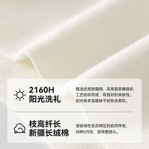 耐尔精梳棉四季款短邦男袜 【4双装】 E0380B 商品图4