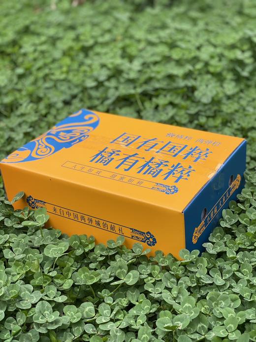 生态耙耙柑 橘有橘粹6斤礼盒 商品图1