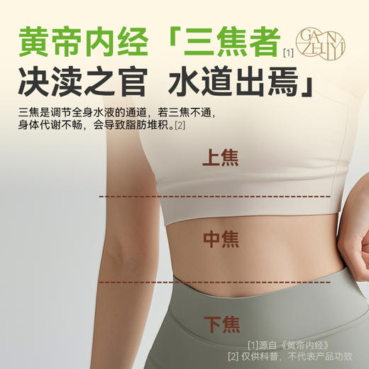 【舒畅轻盈套餐】甘之颐 桂枝防己贴 木香泽泻贴 薏米茯须饮 顺畅循环 日日轻盈 商品图8