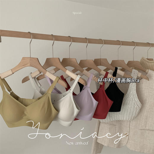 【杯中杯漫画胸】A变C！小胸显大安心内衣 2副胸垫自由切换 无痕固定杯胸垫胸罩聚拢无钢圈文胸 商品图1