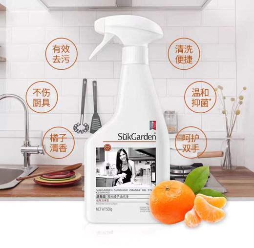 蔬果园阳光橘子油污净500g 商品图4