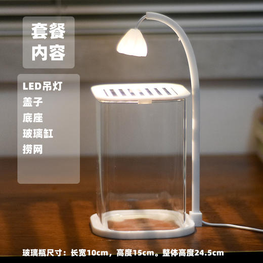 【新款斗鱼专用缸，高透玻璃桌面鱼缸】斗鱼专用缸 高透小型 懒人造景玻璃 桌面专用鱼缸 宿舍小夜灯 网红礼物-QQ 商品图4