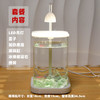 【恒温加热！高透玻璃！】鱼专用缸 高透小型 懒人造景 玻璃桌面专用鱼缸 恒温加热鱼缸 网红礼物-QQ 商品缩略图6