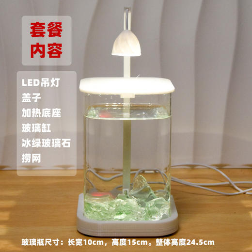 【恒温加热！高透玻璃！】鱼专用缸 高透小型 懒人造景 玻璃桌面专用鱼缸 恒温加热鱼缸 网红礼物-QQ 商品图6