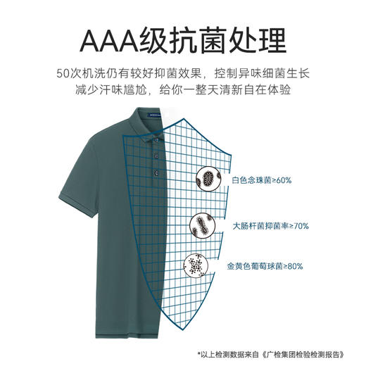 十如仕针织汗无痕小领短袖POLO-P21-01 商品图11