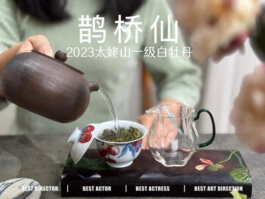 【春茶品鉴会】2023一级白牡丹《鹊桥仙》，馨香盈杯，清润润的汤感素雅洁净，仿若天山冰泉 商品图4