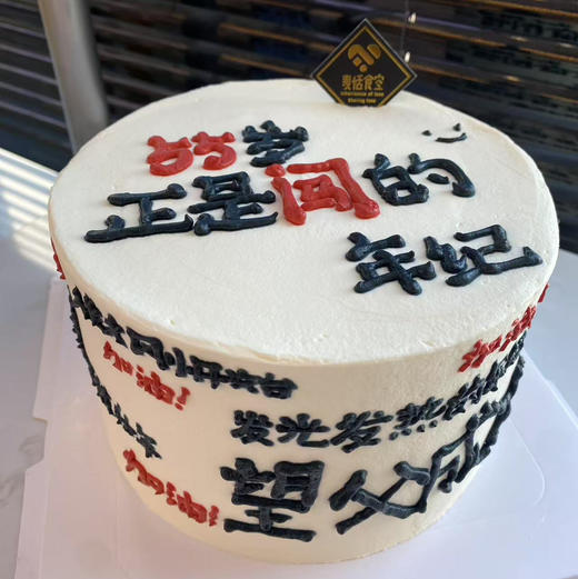 望父成龙 商品图0