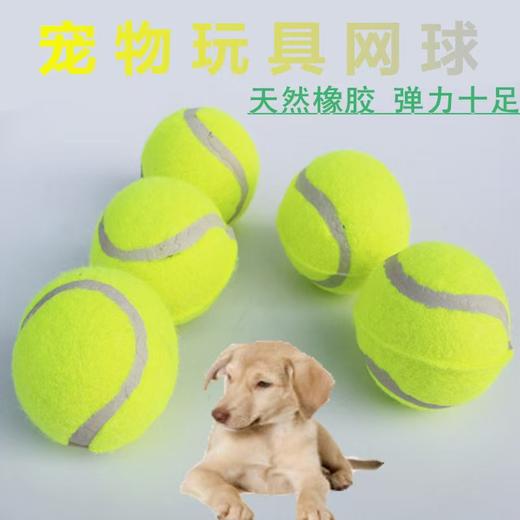 狗狗玩具球自嗨解闷宠物咬球训练磨牙网球 商品图4
