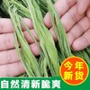 【宜昌助农馆】2025新贡菜干 火锅食材  鲜嫩爽口 商品缩略图0