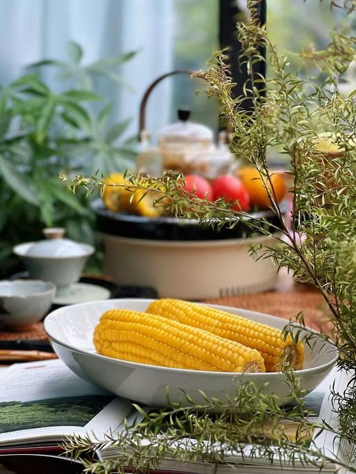 寒地有机糯玉米 商品图4