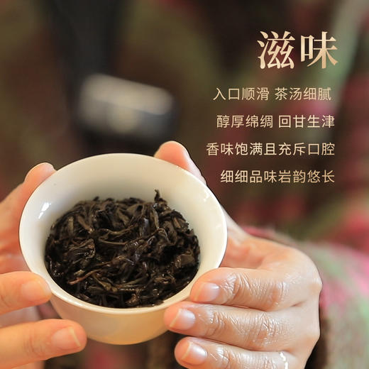 【好茶破价王】大红袍  2024年武夷岩茶 8.3*15泡 125克/盒 商品图4