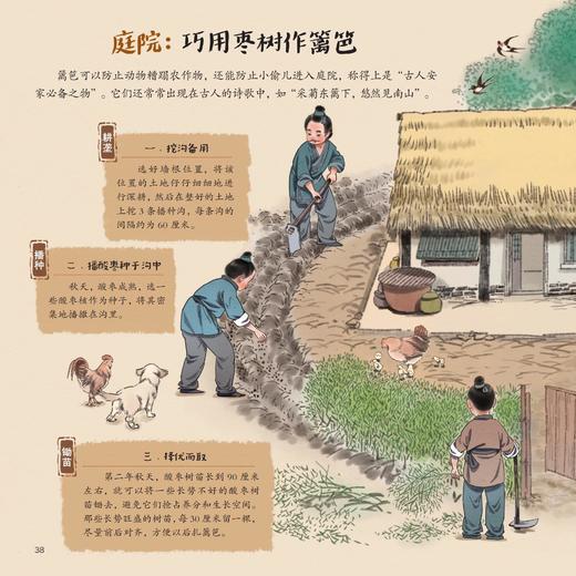 《齐民要术：给孩子的中国古代农业百科全书》 商品图6