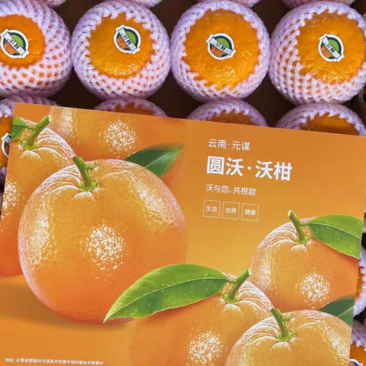 云南元谋高山有机沃柑 脆嫩甜应季晚熟春桔多汁水果精品礼盒装 商品图3