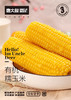 寒地有机糯玉米 商品缩略图0