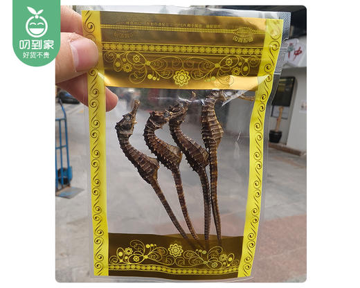 山东日照溯源海马/1份（4只，共约3g）生产日期：12月1日左右补单专用 商品图4